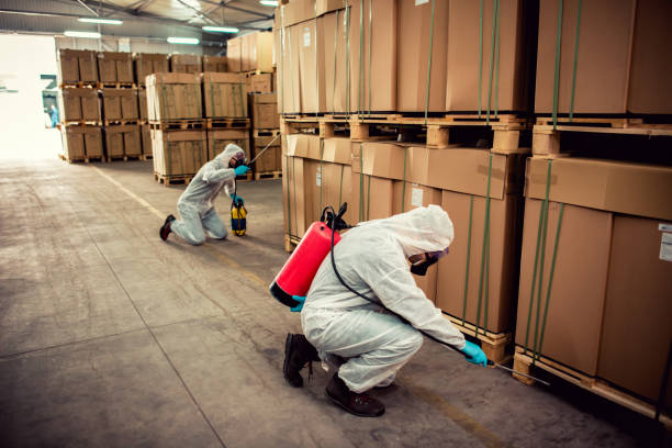 Best Residential Pest Control  in Amsterdam, NY