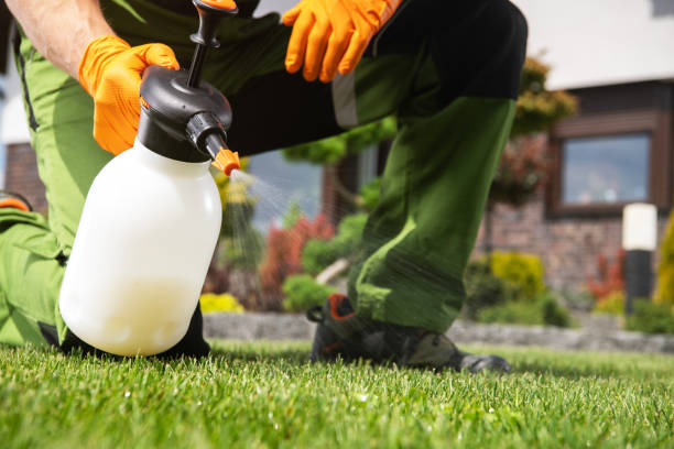 Best Mosquito Control Services  in Amsterdam, NY