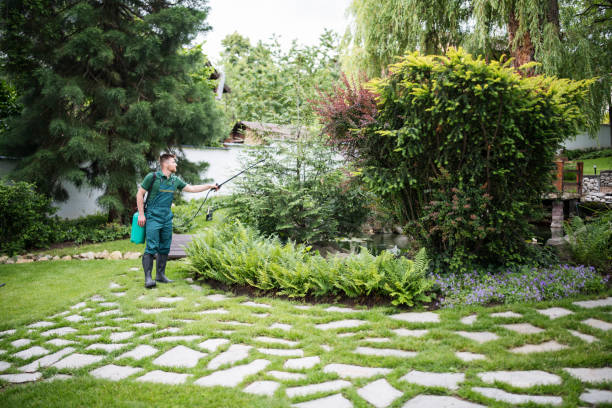 Best Insect Control  in Amsterdam, NY
