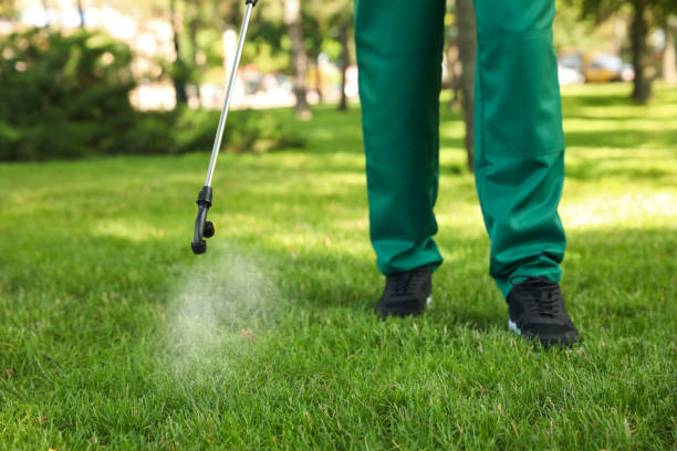 Best Pest Prevention Services  in Amsterdam, NY