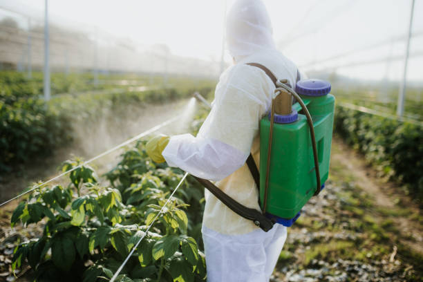 Best Commercial Pest Control Services  in Amsterdam, NY